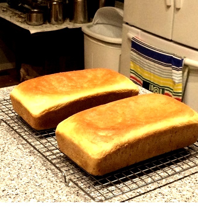 Salt Rising Bread
